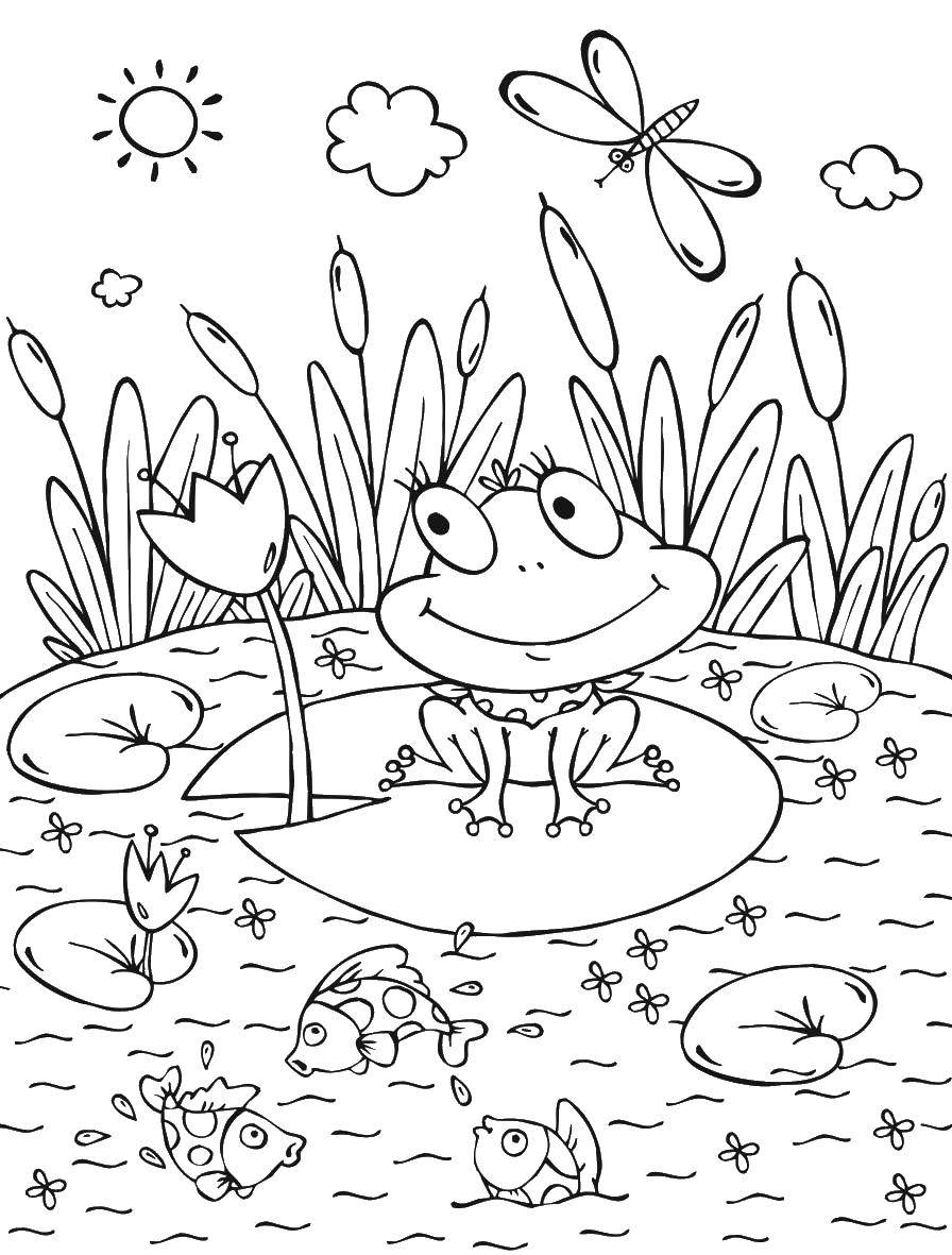 Раскраска Лягушка на фоне пруда для детей (лягушка, пруд)