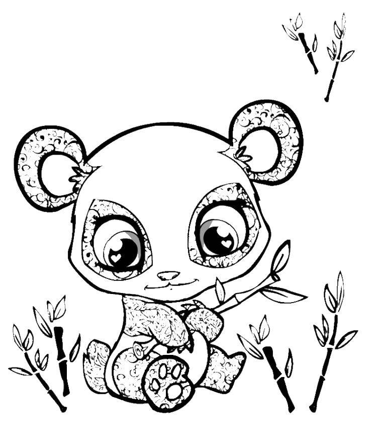 Раскраски животных панды, бамбука и глазок для детей (панда, бамбук, глазки)