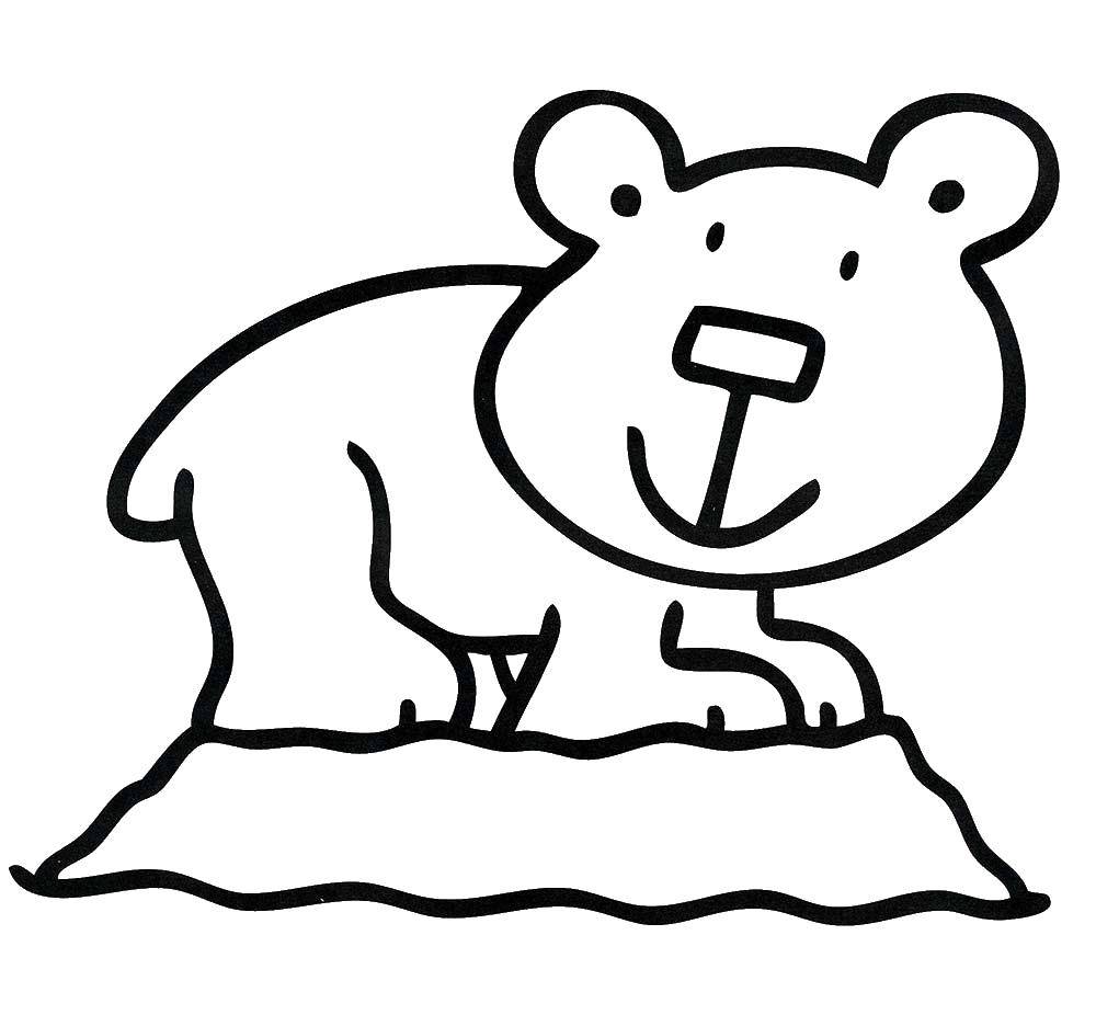 Раскраска медвежонка Умки для малышей (медвежонок, умка, медведь)