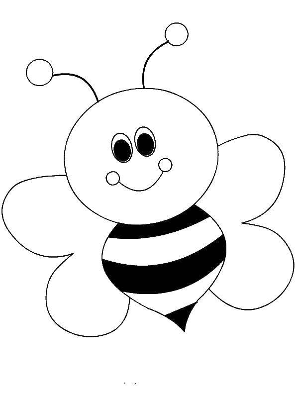 Раскраска с пчелой и пчелкой на цветочном фоне (пчелка)
