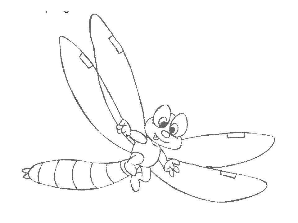 Раскраски на тему насекомых и стрекоз для детей (стрекоза)