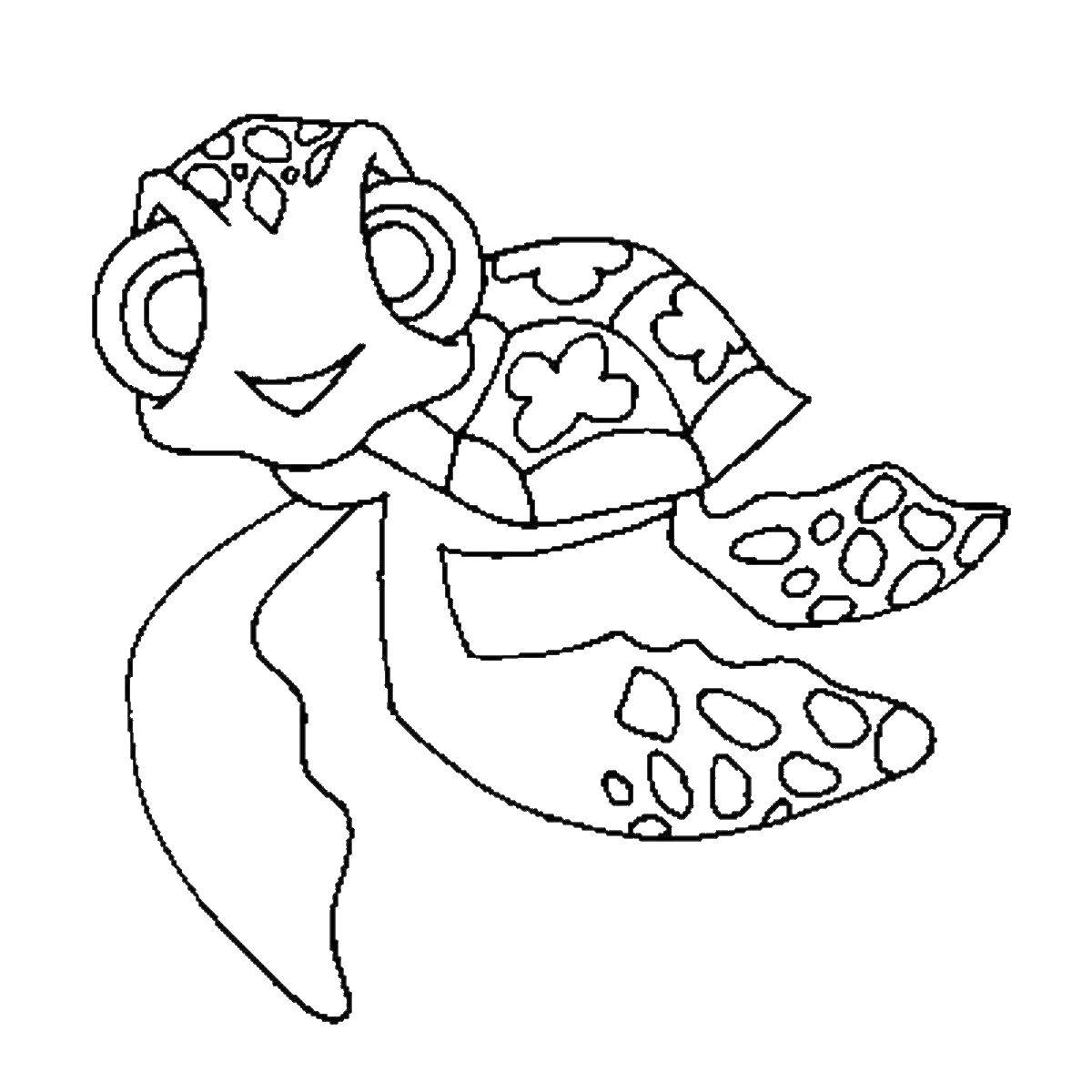 Раскраска череп морской и черепаха для детей. Улучшайте моторику и развивайте творчество бесплатно. (черепаха)