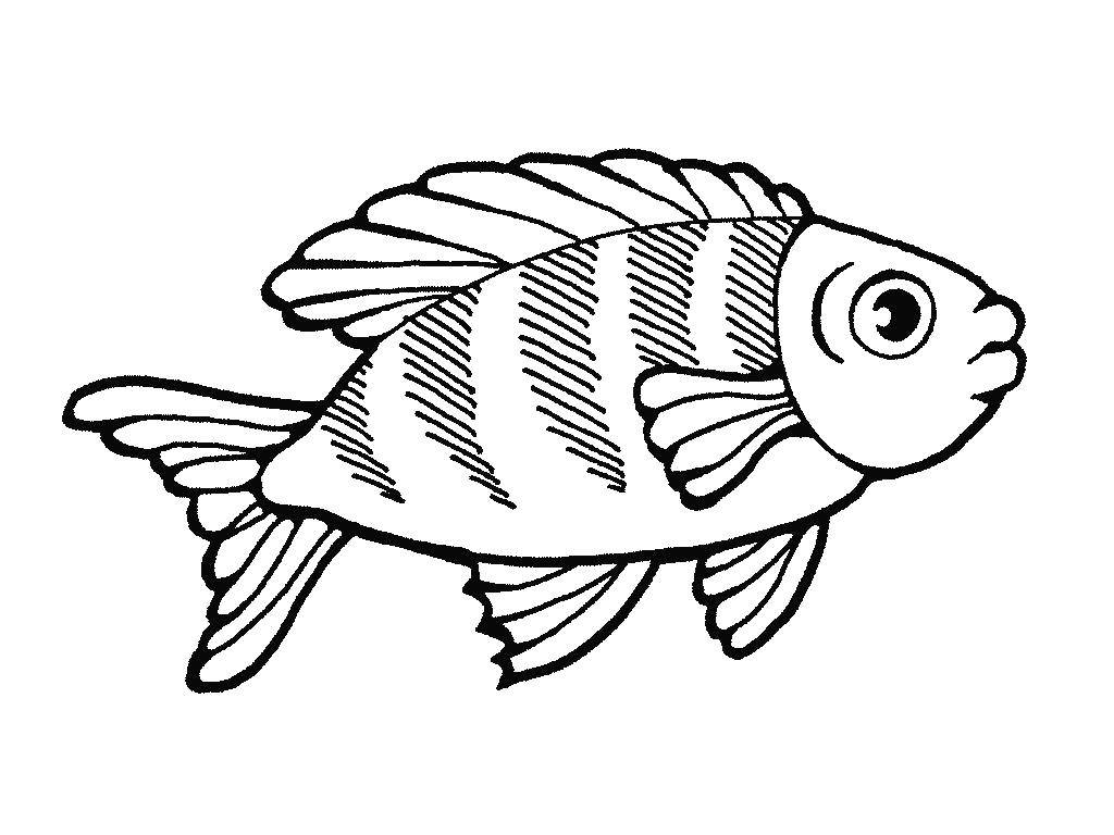 Раскраска с рыбой для детей: выбери свою любимую рыбу и раскрась ее в яркие цвета (рыбы, цвета)