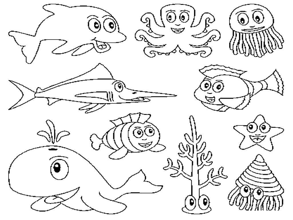Раскраски морских обитателей Подводного мира для детей