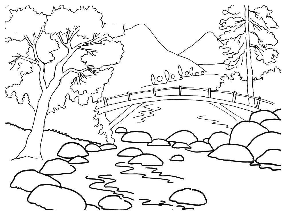 Раскраска природы: лес, горы, река, мост для детей (мост)