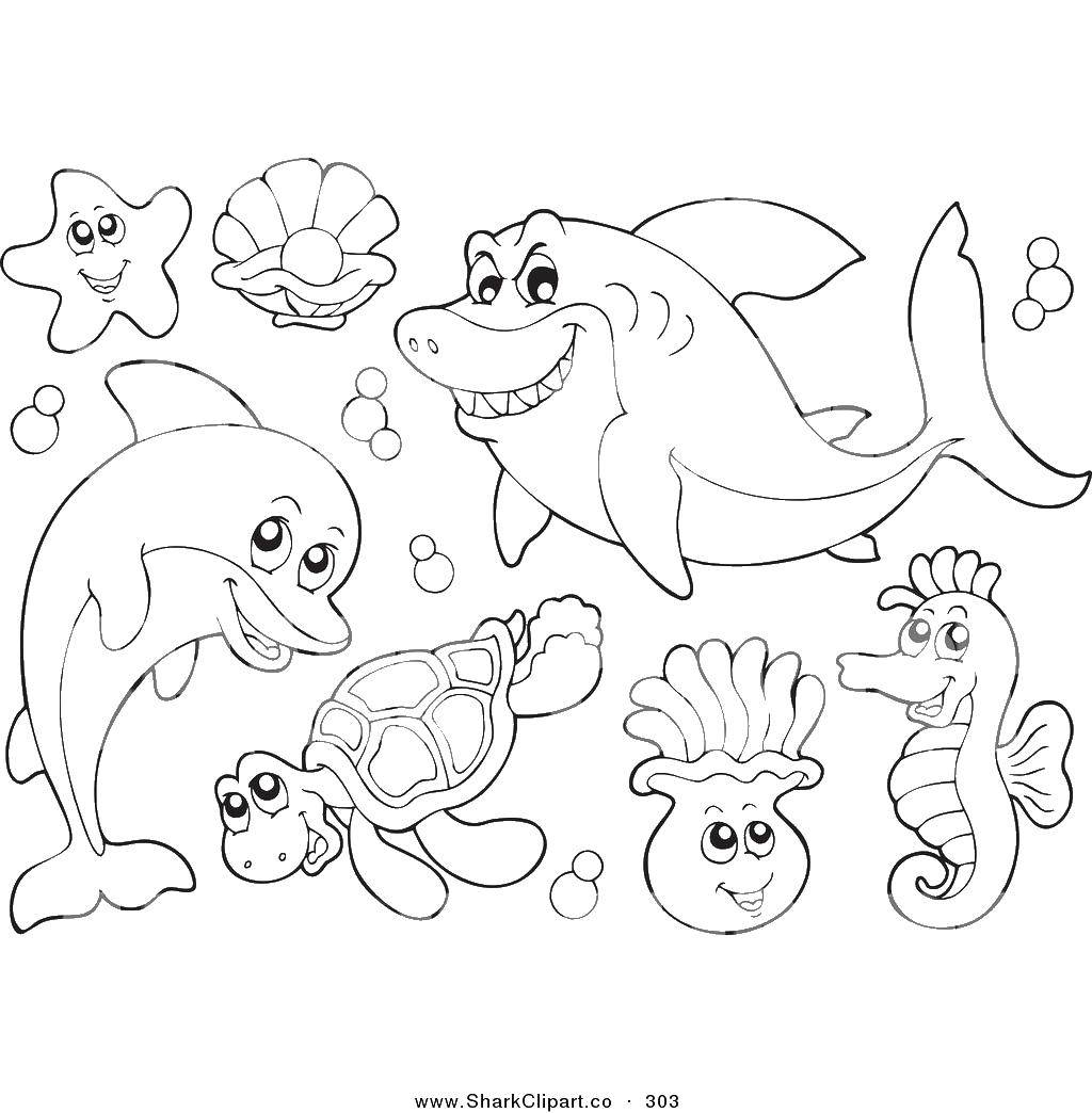 Раскраска морских животных: акула, дельфин, черепаха, медуза (морские, животные, развивающие, медуза)