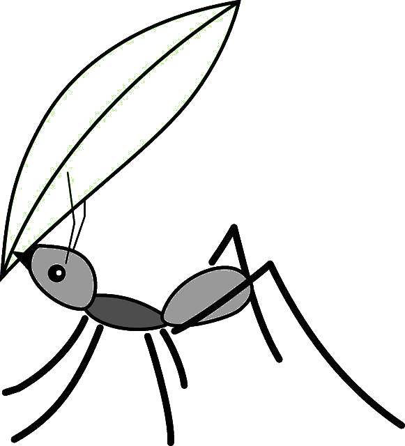 Контурные раскраски на тему насекомых, включая муравьев и других насекомых для бесплатного раскрашивания (контуры, муравей)