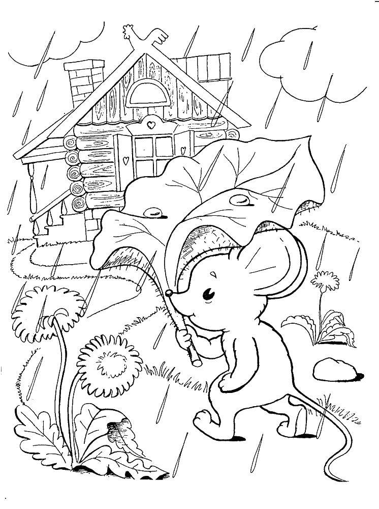 Раскраска по сказке о мышке, бесплатно для детей (сказки, мышка, листик)