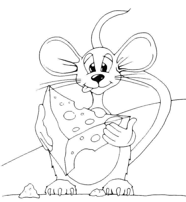 Раскраска животных: мышь, сыр и другие животные для детей (животные, сыр)