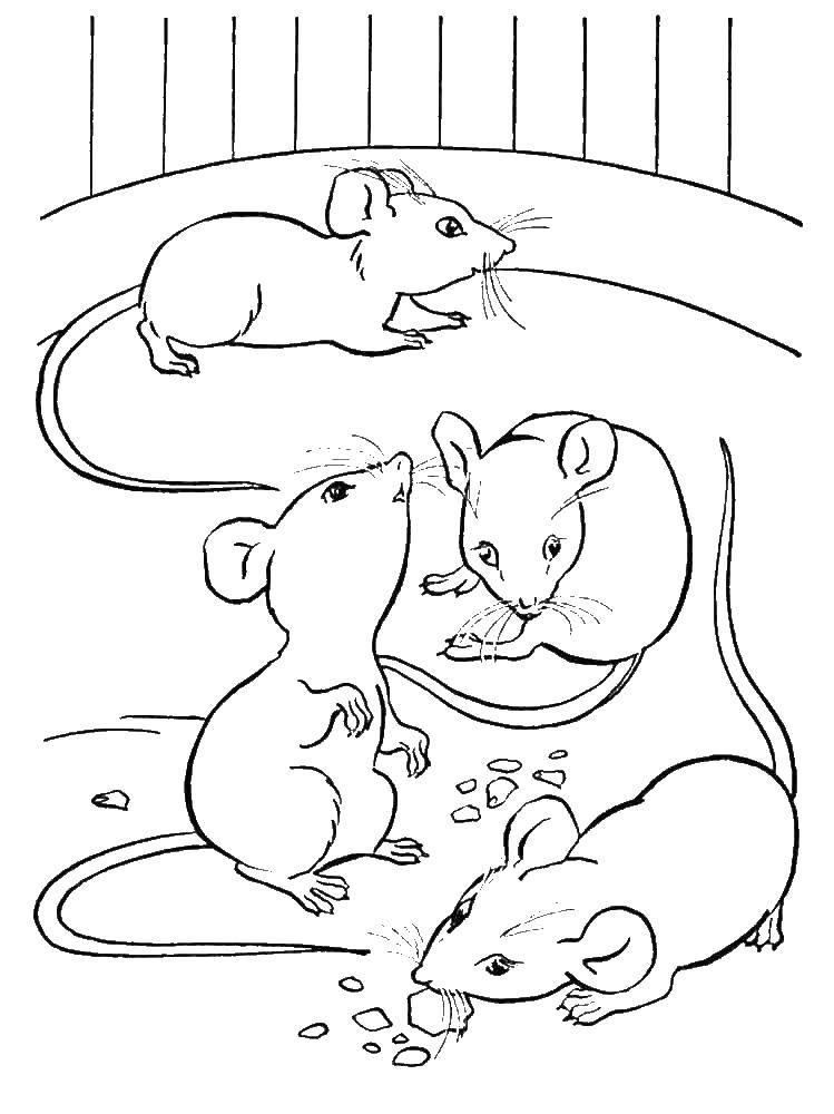 Раскраска Мышки и других животных для детей (Мышка)