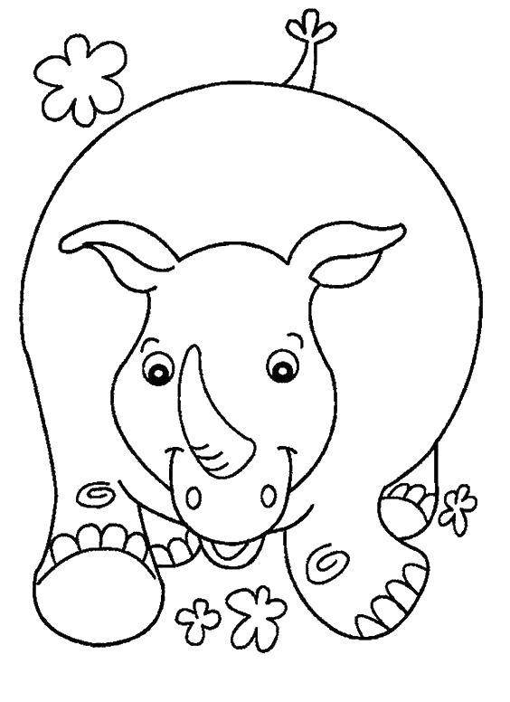 Детеныши животных Носорог для раскраски (детеныши, животные, Носорог)