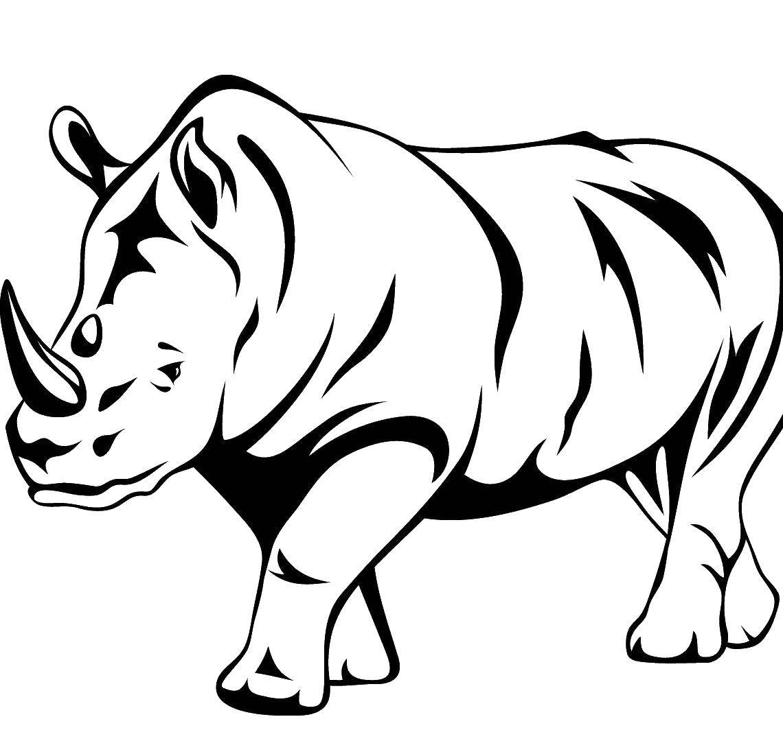 Раскраска носорога для детей (носорог, развивающие)