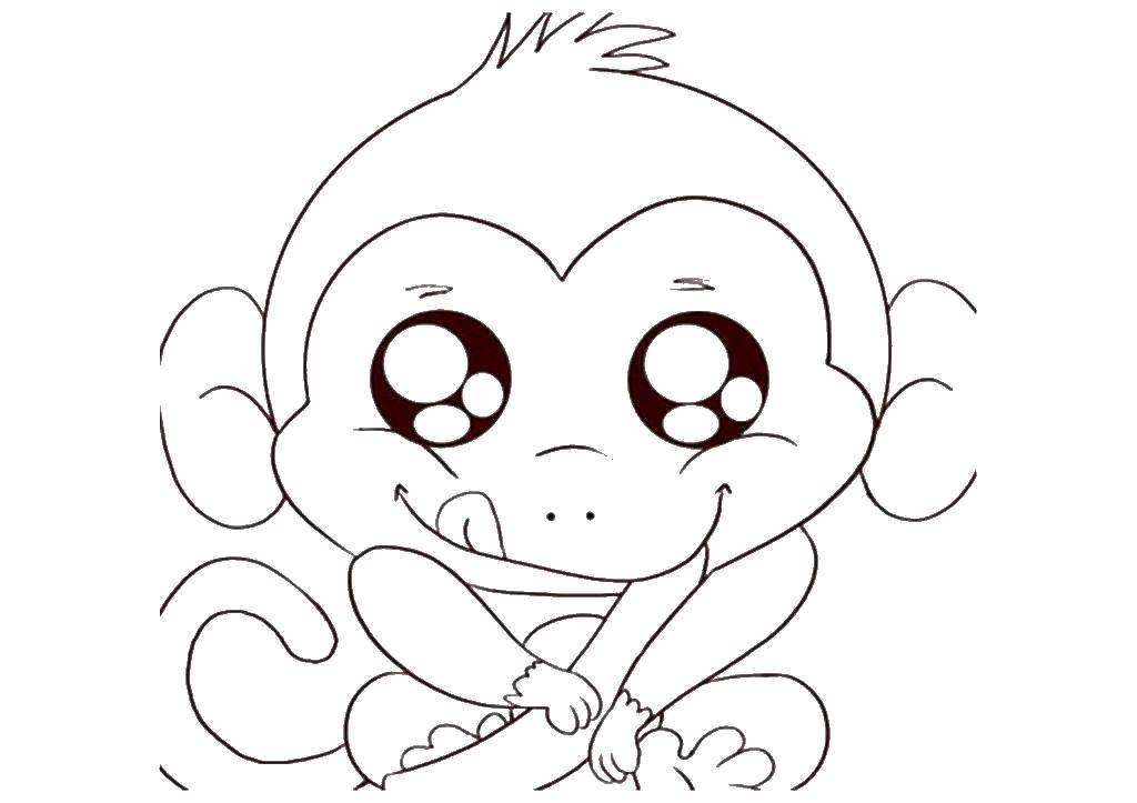 Раскраска дикой обезьяны с глазами (глаза, дикие)