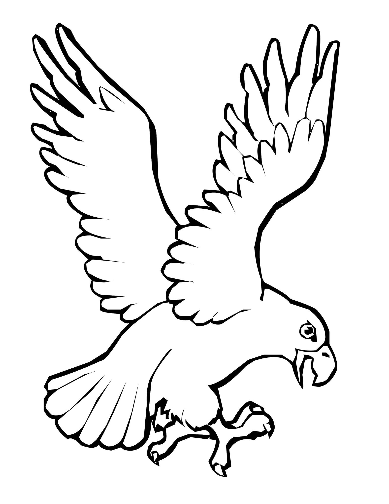Раскраски птиц для детей - бесплатные картинки для раскрашивания (птица, орел)