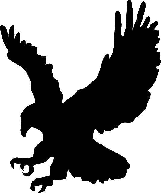 Раскраска орла с контурами животных для детей (орел)
