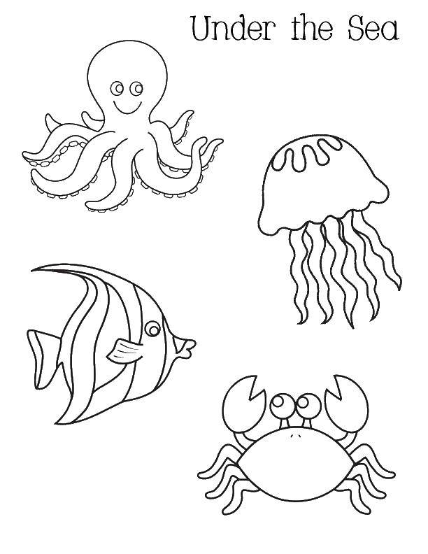 Раскраска морского обитателя: осьминог, медуза, рыбка, краб (краб)