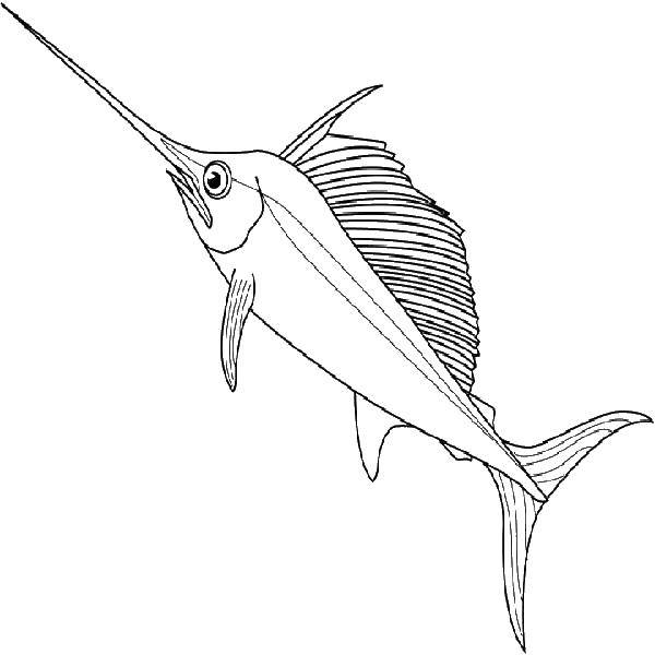 Раскраска с изображением рыб для детей (рыба)