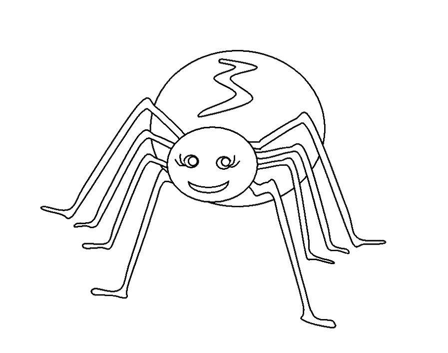 Раскраски пауки и паук для детей - бесплатно скачать и распечатать (паук)