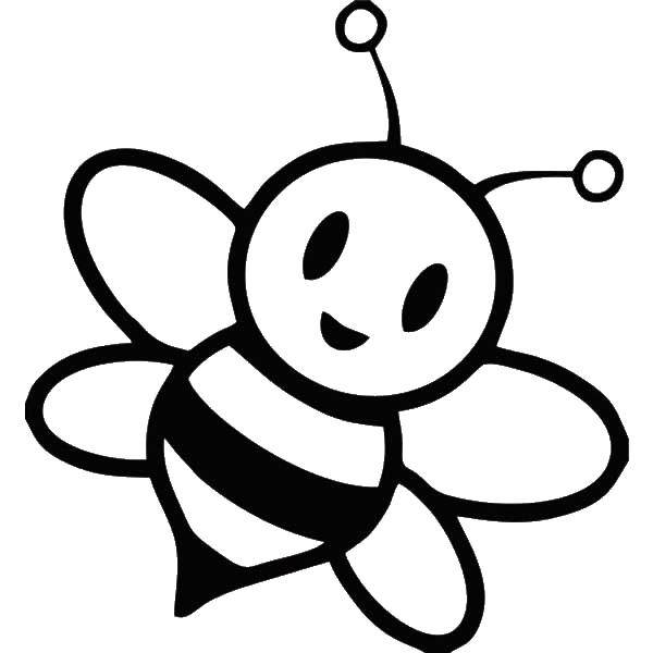 Раскраска на тему насекомых: пчелка - скачать бесплатно (насекомые, пчелка)