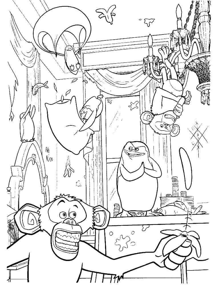 Раскраска из мультфильма Мадагаскар с обезьянами и пингвинами (обезьяны, пингвины, развлечение)