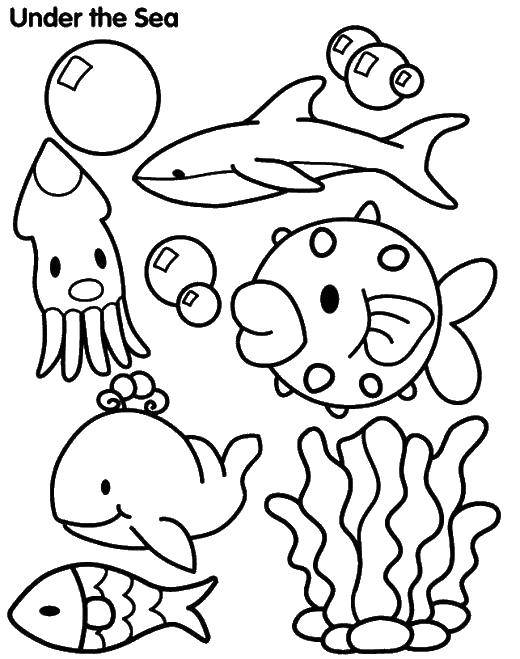 Раскраска морских обитателей под водой для детей