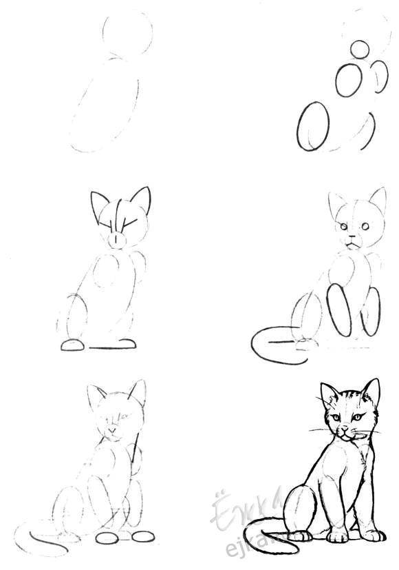 Раскраски животных для детей - нарисуйте котов, собак и других животных поэтапно (поэтапно, развивающее, занятие)