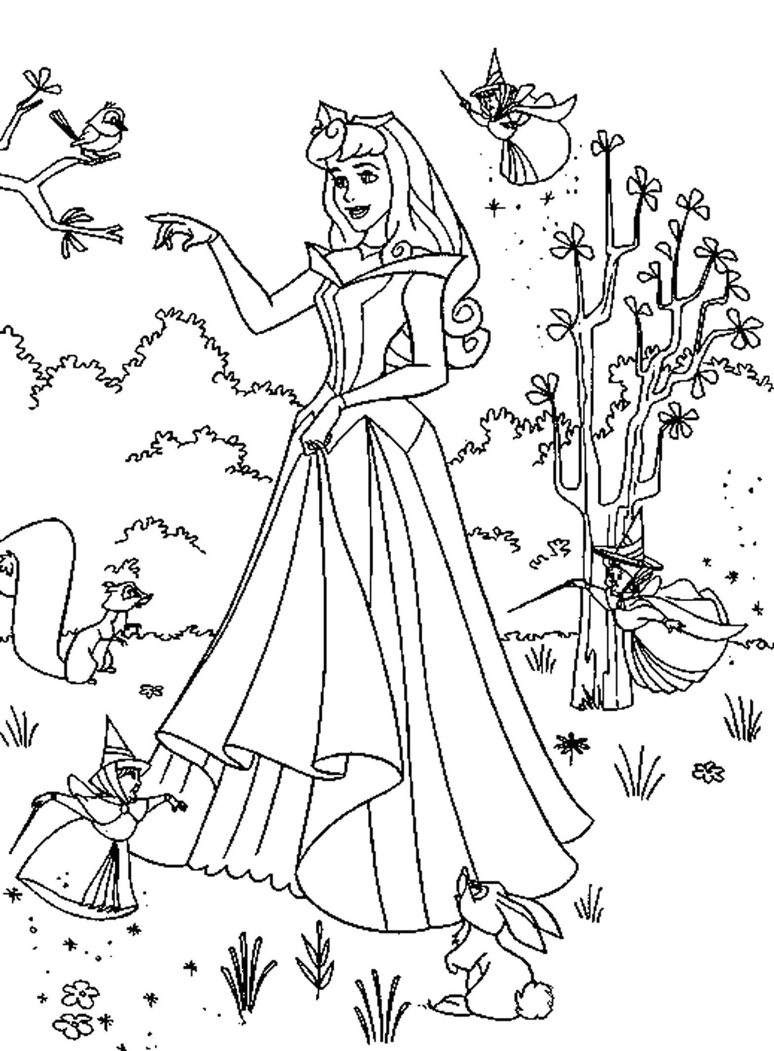 Раскраски Спящая красавица и Принцесса Аврора - бесплатно для скачивания и печати