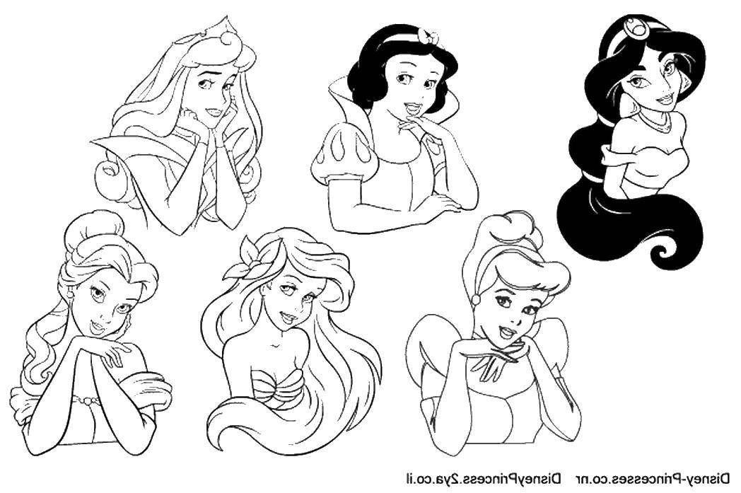Раскраска принцессы Диснея для девочек (принцессы, портреты)