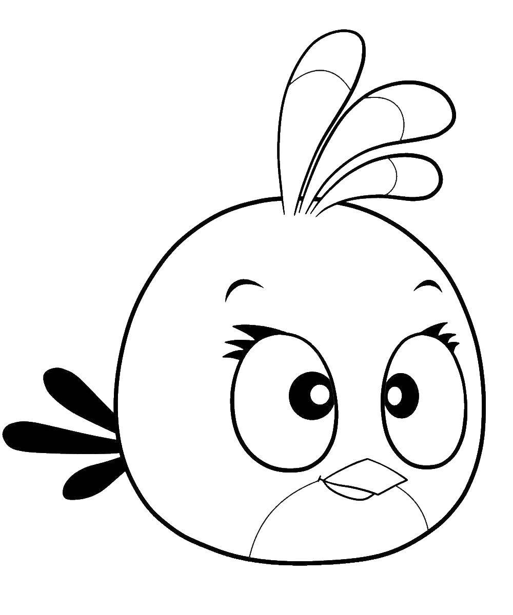Раскраска Angry Birds для детей (игры)