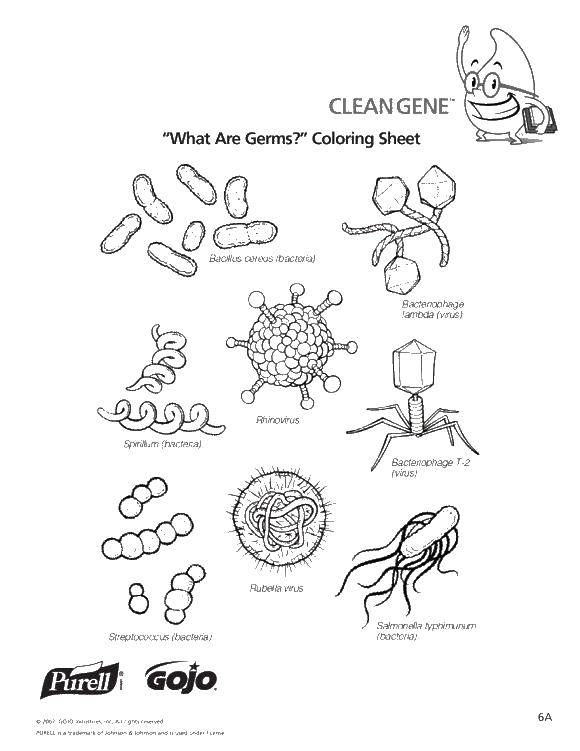 Раскраски микробов (бактерии, грязь)