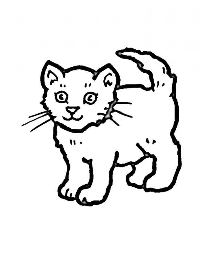 Раскраски кошек и котов для детей (кот)