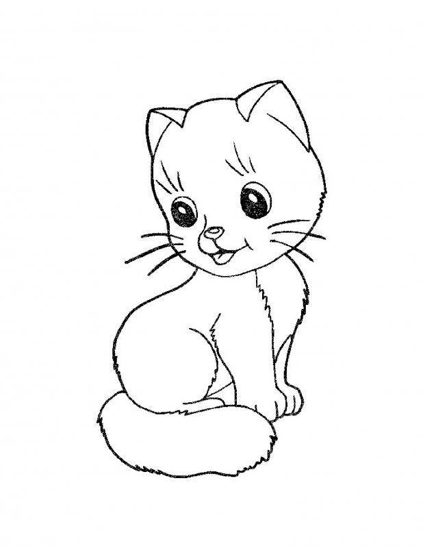 Раскраски домашних животных - кошка, кот. Бесплатно скачать и распечатать. (кот)