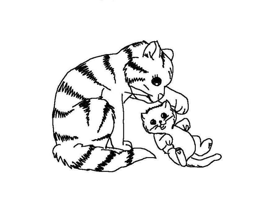 Раскраски по домашним животным кошкам и котам для детей (кошки)