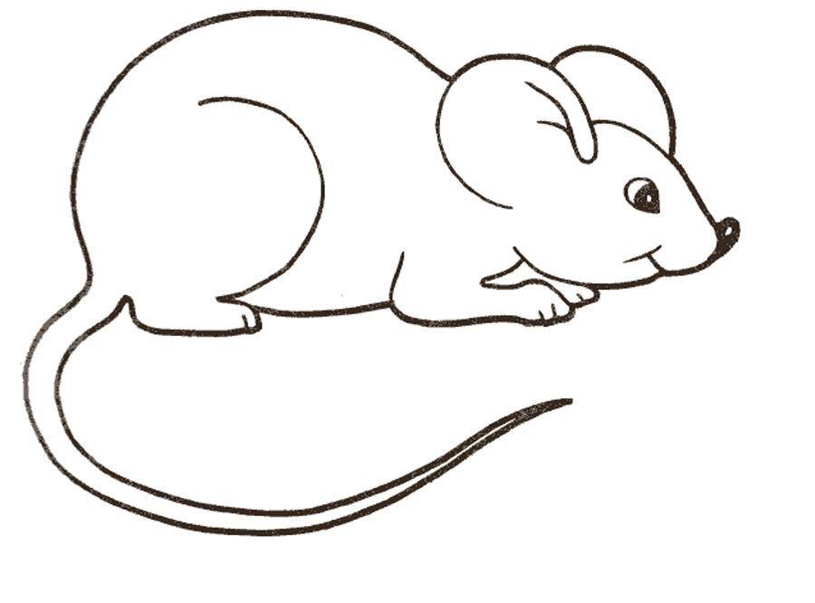 Раскраска с домашними животными, в том числе мышкой (мышка)