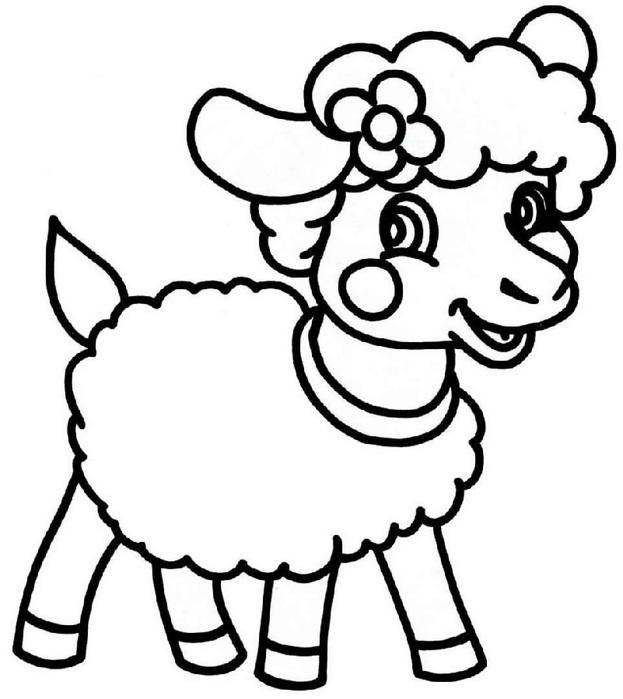 Раскраска домашних животных овцы для детей (овца)
