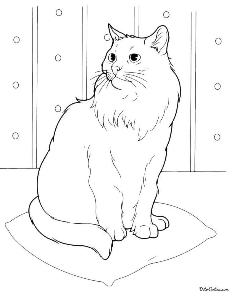 Раскраска домашней кошки и кота для детей (кошка, кот, внимательность)