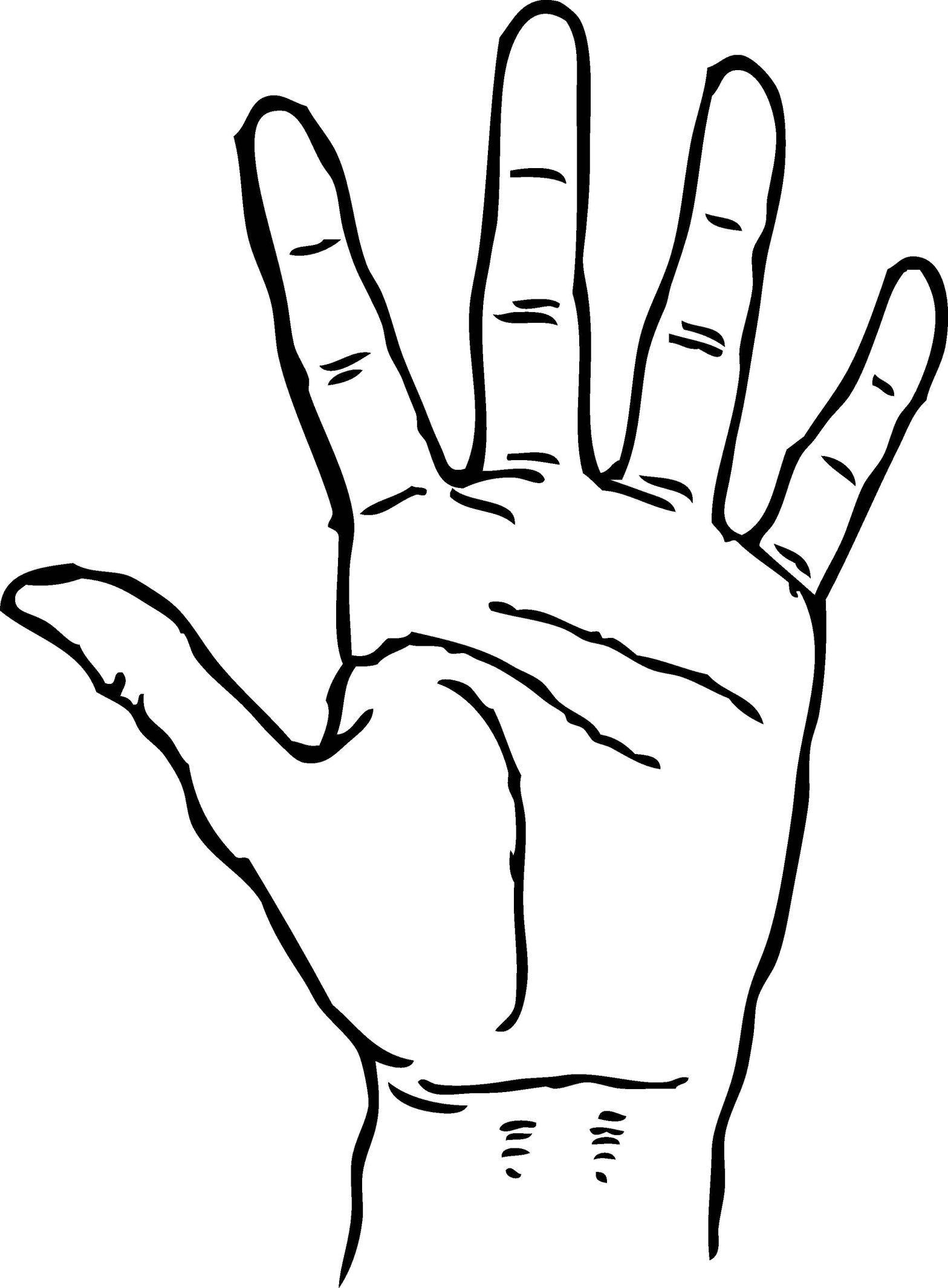 Раскраски для детского творчества: контуры рук и ладоней (контуры, руки)