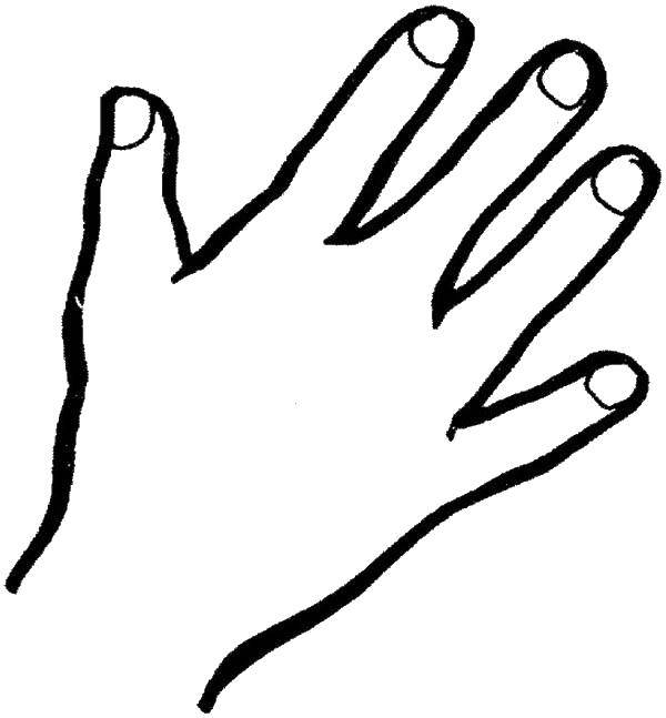 Раскраски руки и ногти для детей (рука, ногти)