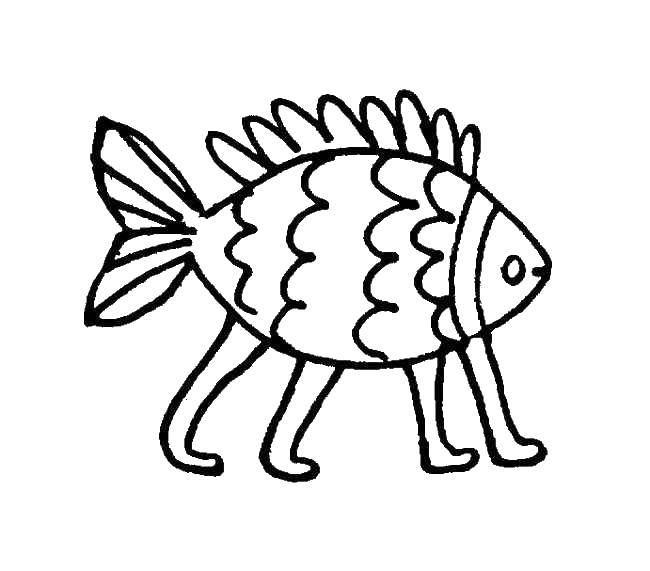 Раскраска рыбы Подводный мир (рыбы)