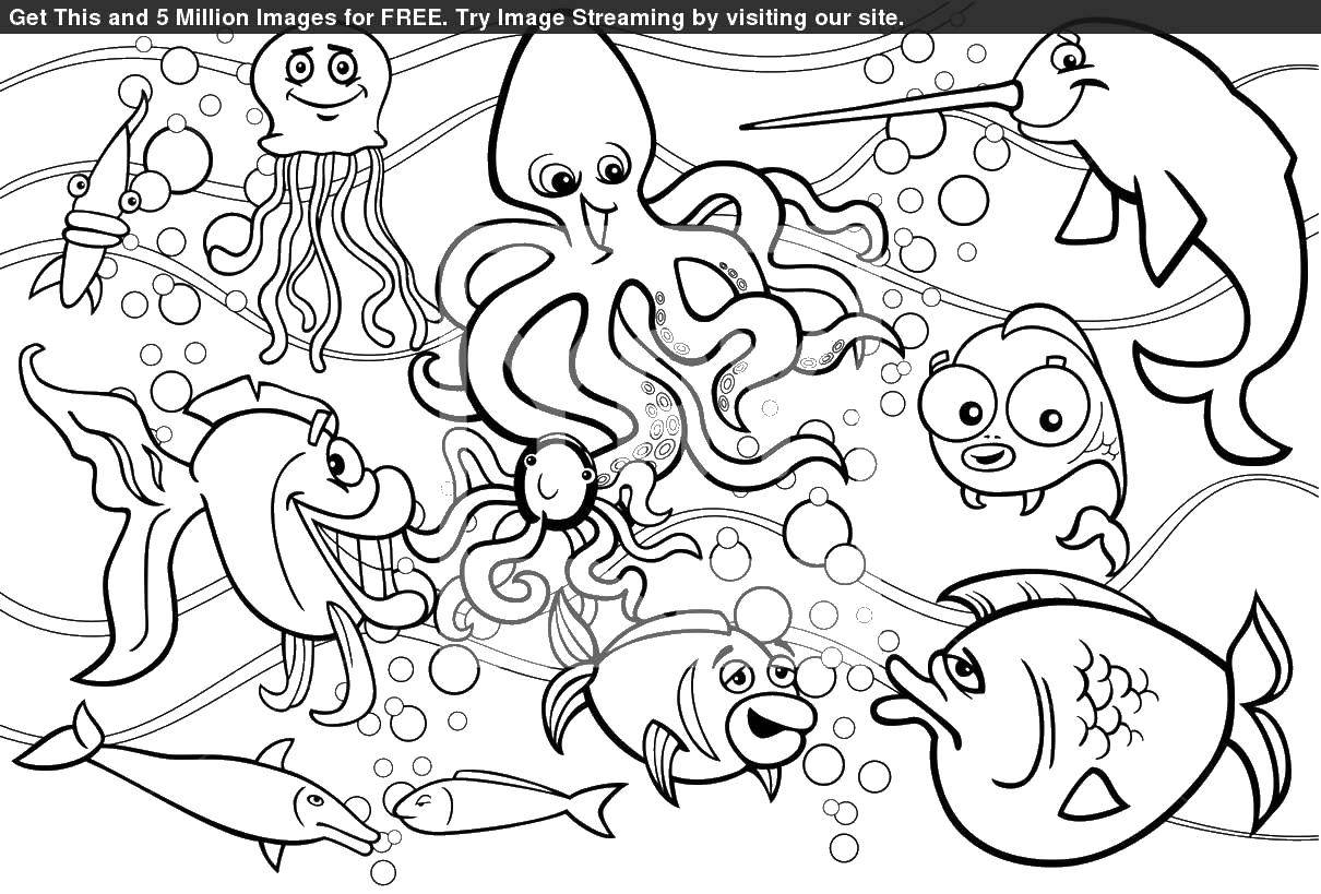 Раскраски морской мир с рыбами и морскими звездами для детей