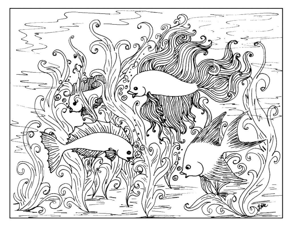 Раскраска с рыбами из Океана для детей (рыба, океан)