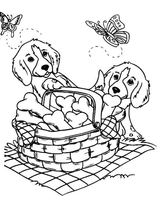 Раскраска с собакой щенком, бабочкой, корзиной и косточкой для детей (собаки, щенки, корзина, косточки)