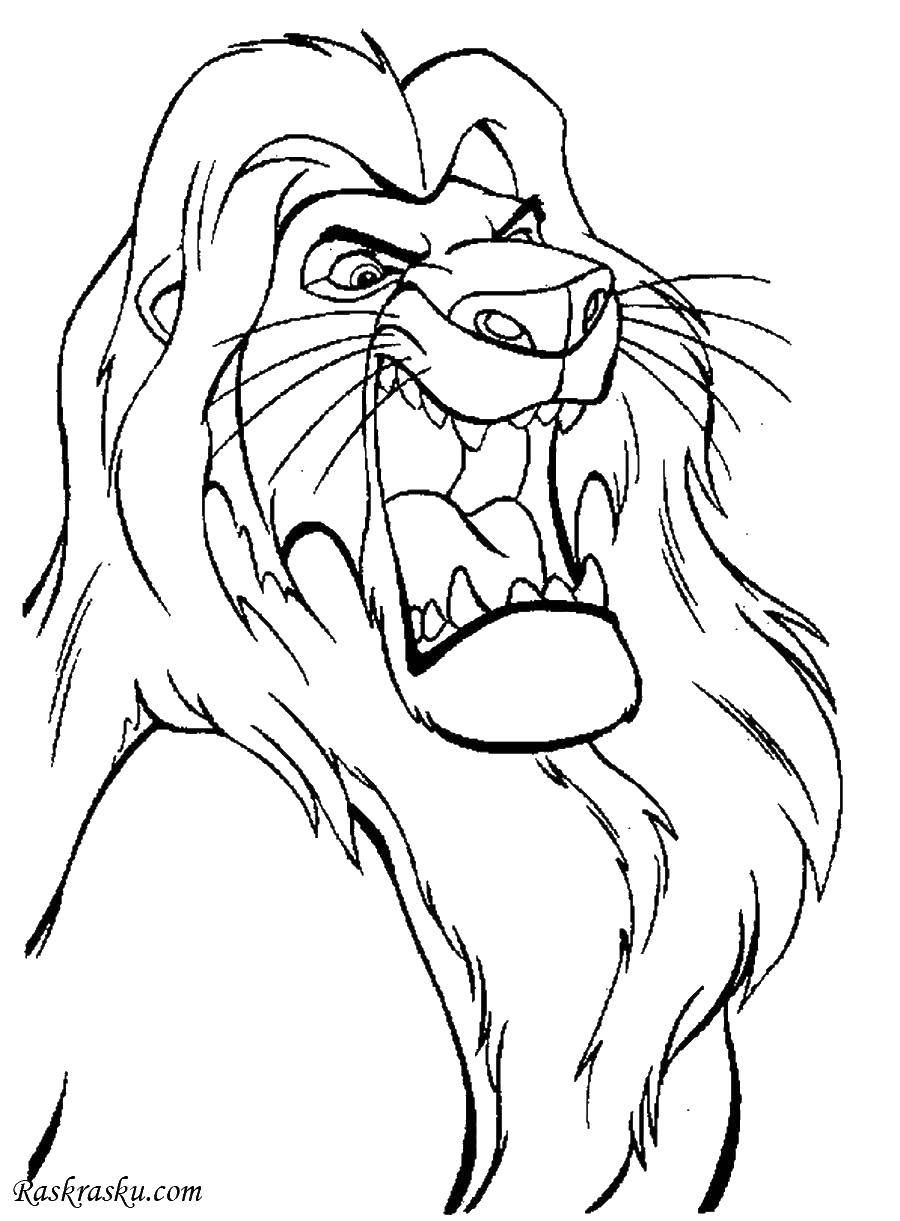 Раскраски Дисней и Короля Льва для развития творческих способностей детей (Дисней)