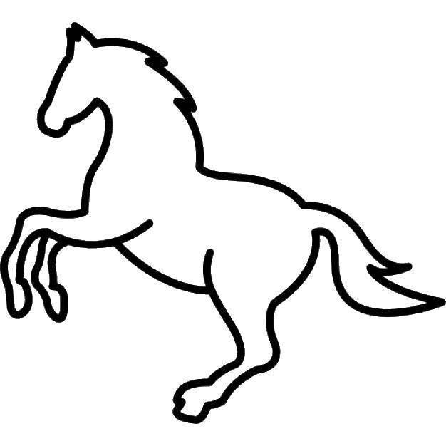 Раскраска контура лошади для детей (развивающие, контуры)