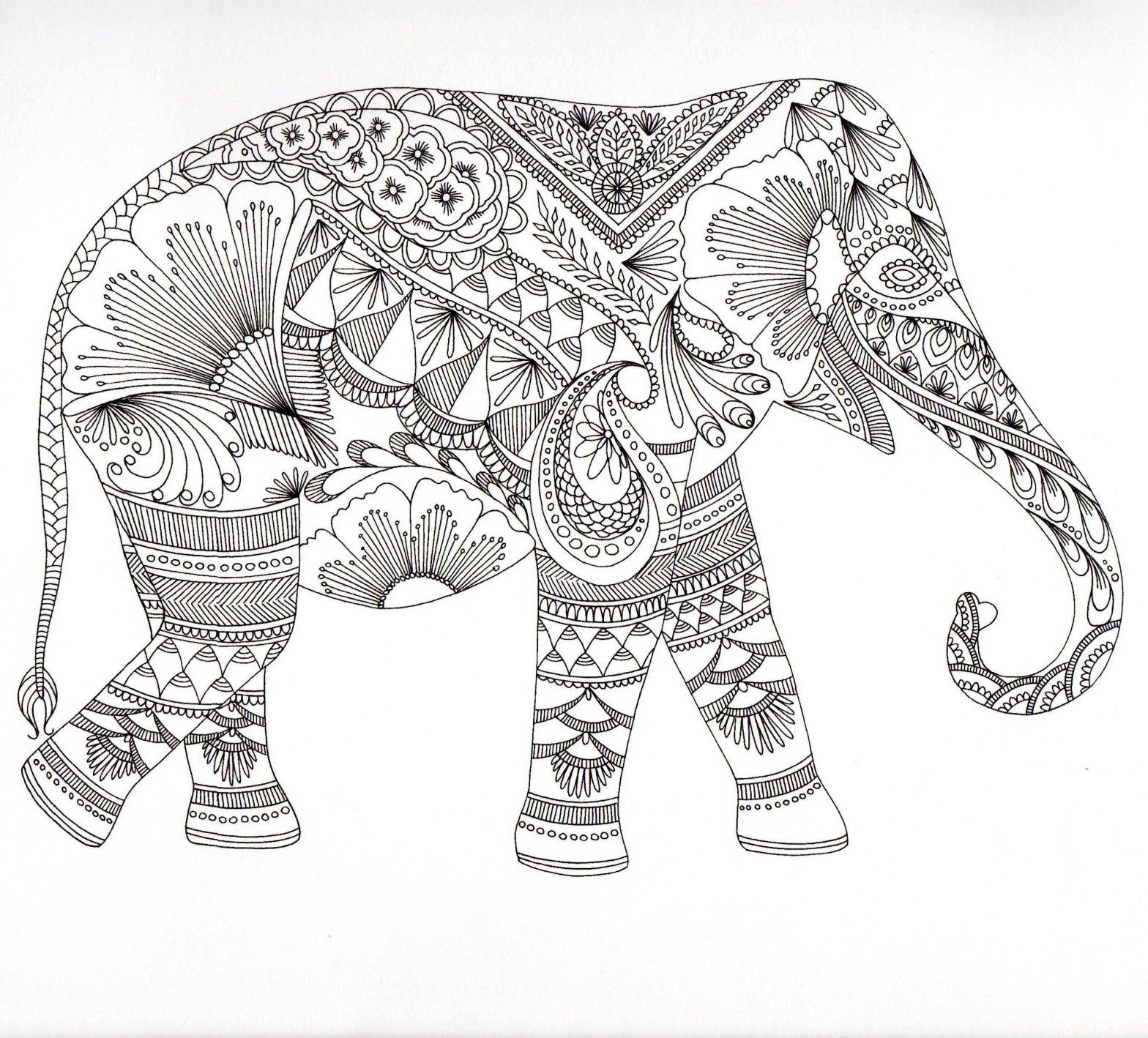 Раскраска животные слон с узорами и хоботом (слон, узоры, хобот)