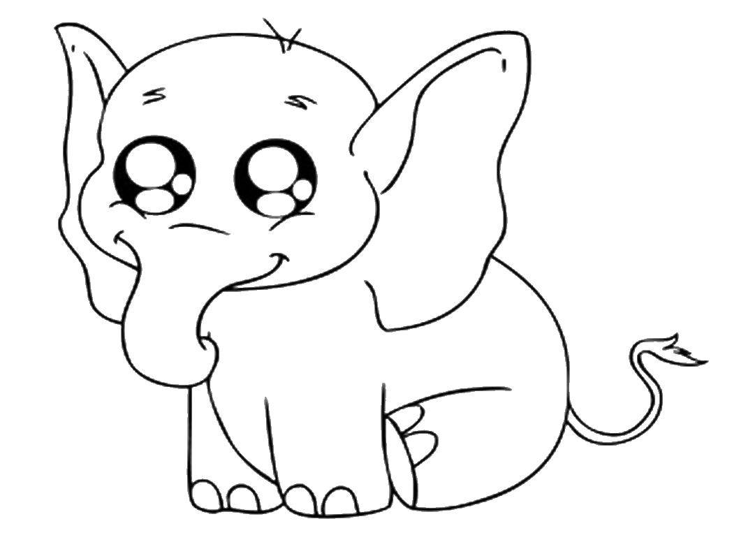 Раскраска слона с ушами и хоботом для детей (слон, хобот)