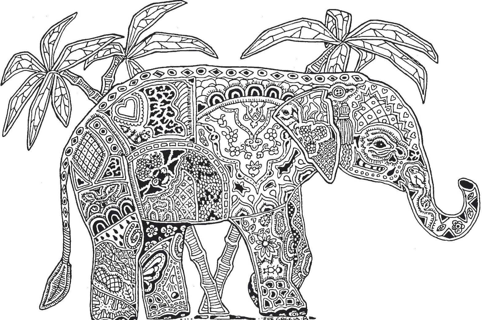 Раскраски слон, узоры, пальмы (задания)