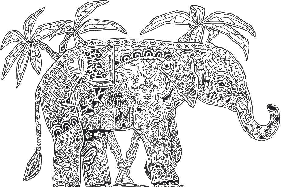 Раскраски антистресс со слоном - бесплатно скачать и распечатать (антистресс, слон)