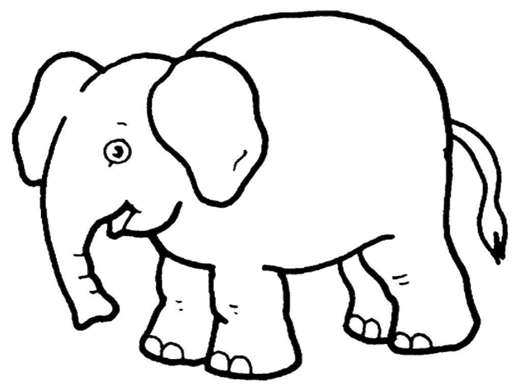 Раскраски диких животных: слон, контур для детей (слон, контур)
