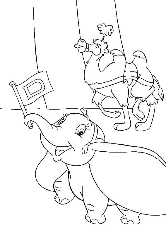 Раскраски Дамбо и слон - бесплатно скачать и распечатать онлайн (слон)
